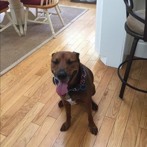 Meet your Posher, Jamie